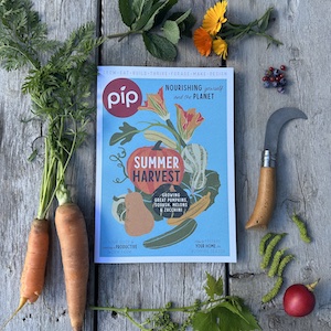 Pip Magazine Print Subscription