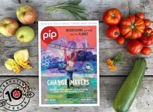 pip magazine issue 31