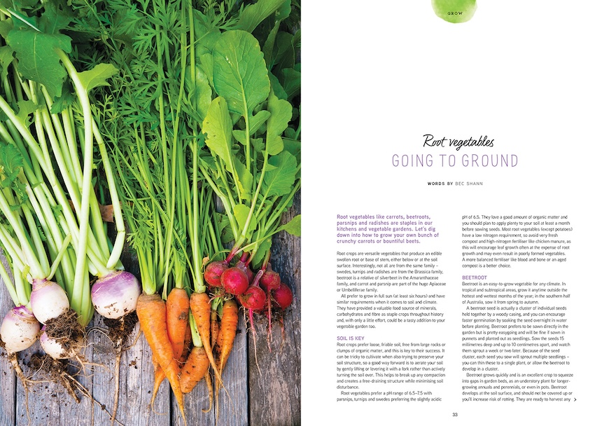 Root vegetables like carrots, beetroots, parsnips and radishes are staples in our kitchens and vegetable gardens. Let’s dig down into how to grow your own bunch of crunchy carrots or bountiful beets.