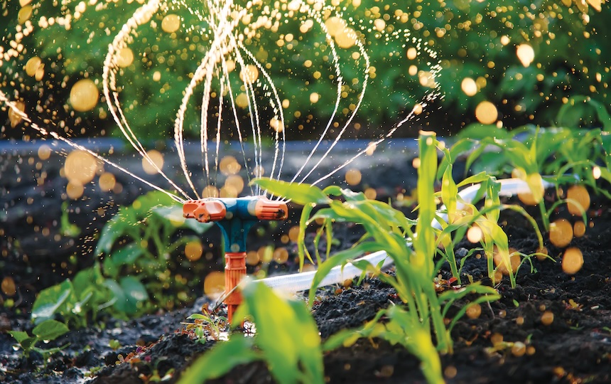 Water is the lifeblood of a garden – but should you hand-water, install an irrigation system or plug in a sprinkler? We consider the watering methods to keep your plants happy and hydrated.